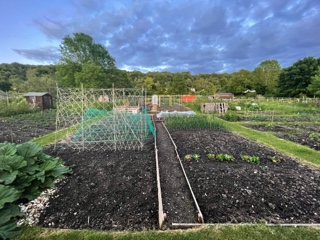 Allotments